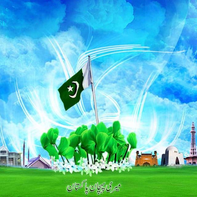 🇵🇰✨Pakistan Zindabad✨🇵🇰 avatar