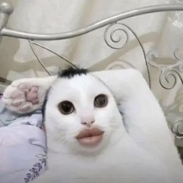 Блядство avatar