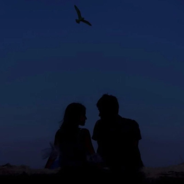 🦋 𝐋𝐎𝐕𝐄 𝐋𝐀𝐍𝐃 | 𝐅𝐫𝐢𝐞𝐧𝐝𝐬𝐡𝐢𝐩 & 𝐅𝐮𝐧 avatar