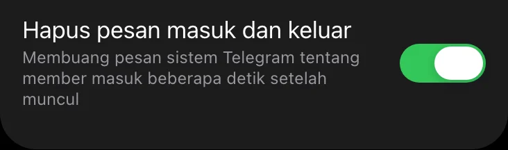 Sakelar penghapus pesan masuk dan keluar di Mini App Limzo, dalam keadaan menyala