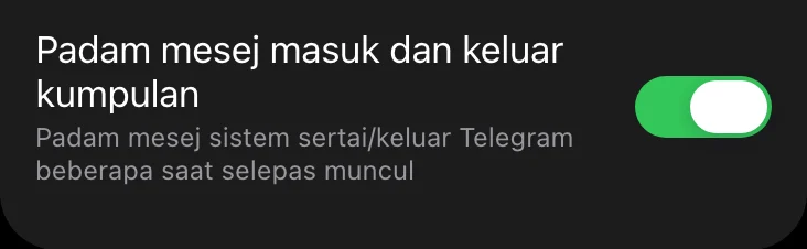 Suis yang memadam mesej masuk dan keluar dalam Mini App Limzo, dihidupkan